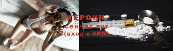 прущие грибы Саяногорск