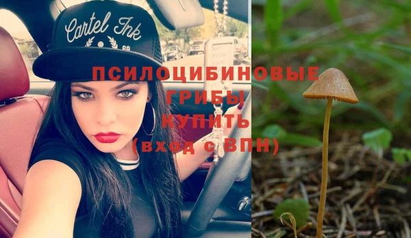 синтетический гашиш Армянск