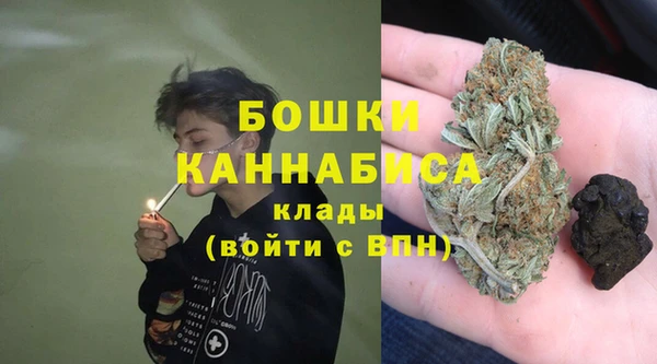 прущие грибы Саяногорск