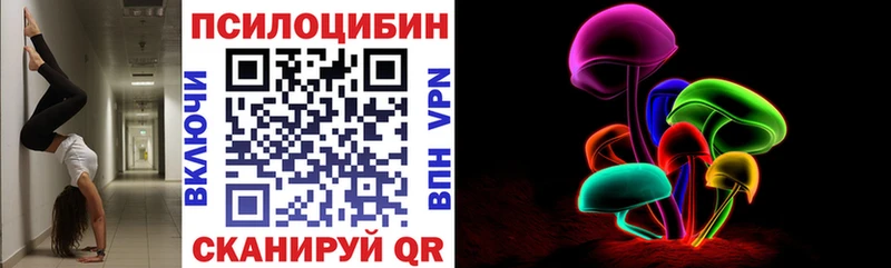 купить наркоту  мега   Галлюциногенные грибы Psilocybe  Будённовск 